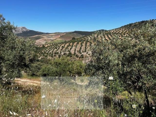 Finca/Casa Rural en venta en Ronda, Málaga
