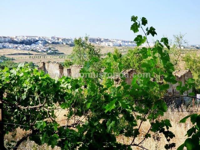 Finca/Casa Rural en venta en Ronda, Málaga