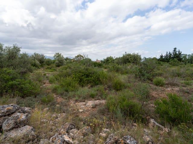 Finca/Casa Rural en venta en Roquetes, Tarragona