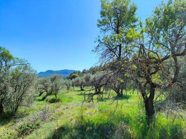 Finca/Casa Rural en venta en Ráfales, Teruel