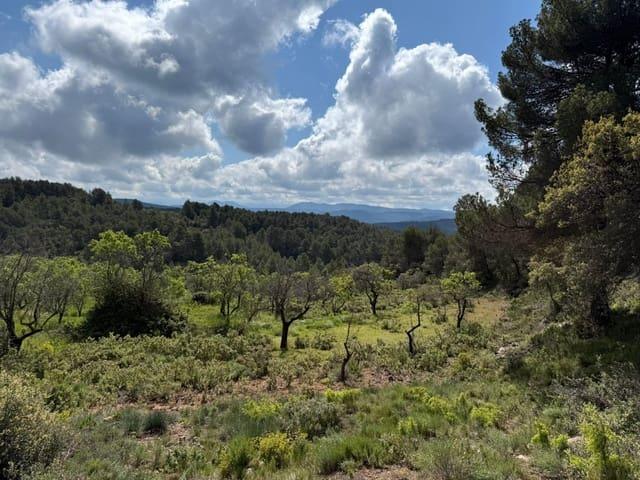 Finca/Casa Rural en venta en Ráfales, Teruel