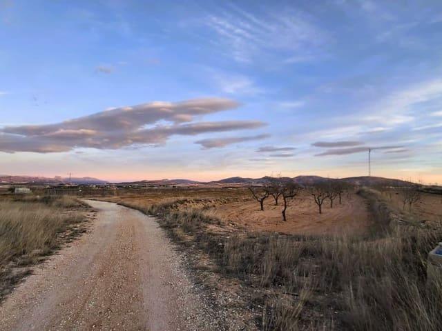 Finca/Casa Rural en venta en Raspay, Murcia