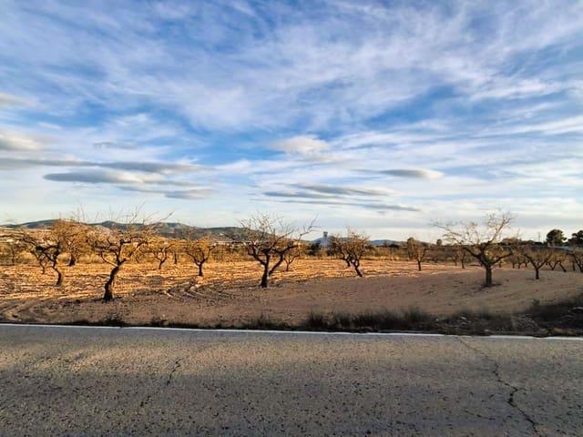 Finca/Casa Rural en venta en Raspay, Murcia