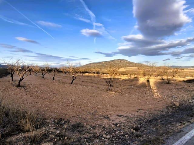 Finca/Casa Rural en venta en Raspay, Murcia