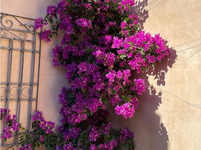 Finca/Casa Rural en venta en Raspay, Murcia