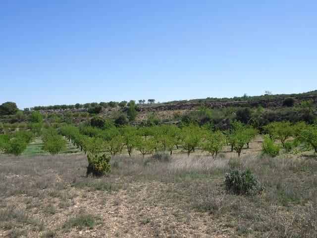 Finca/Casa Rural en venta en Raspay, Murcia