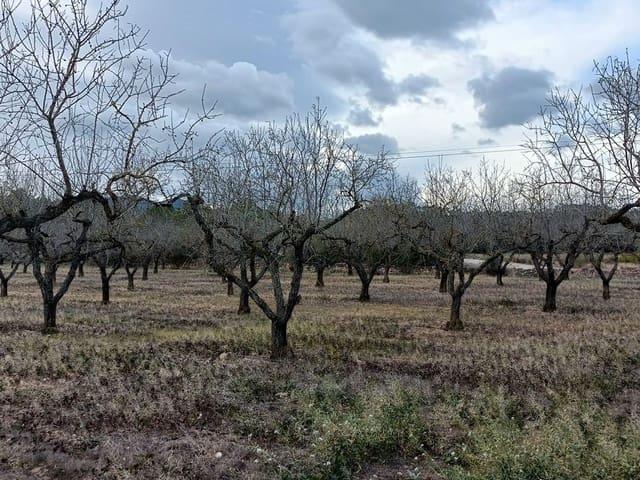 Finca/Casa Rural en venta en Rasquera, Tarragona