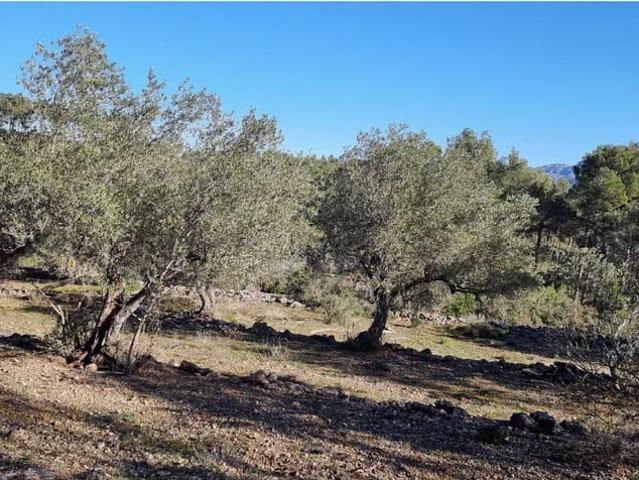Finca/Casa Rural en venta en Rasquera, Tarragona