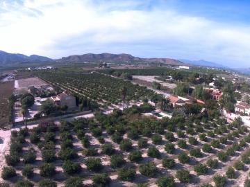 Finca/Casa Rural en venta en Redován, Alicante