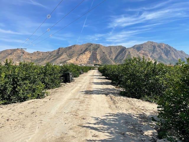 Finca/Casa Rural en venta en Redován, Alicante