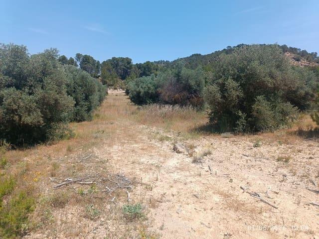 Finca/Casa Rural en venta en Requena, Valencia