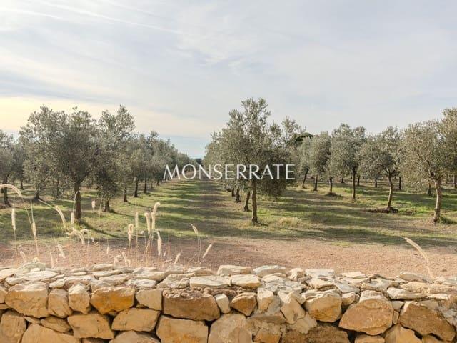 Finca/Casa Rural en venta en Requena, Valencia