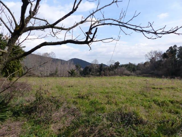 Finca/Casa Rural en venta en Riells i Viabrea, Girona