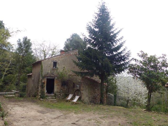 Finca/Casa Rural en venta en Riells i Viabrea, Girona