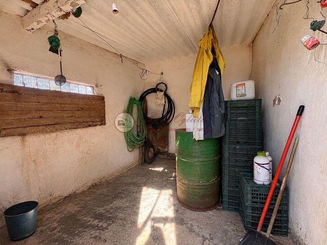 Finca/Casa Rural en venta en Torrox, Málaga Costa del Sol