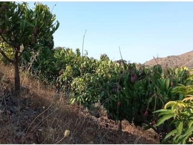 Finca/Casa Rural en venta en Torrox Costa, Málaga Costa del Sol