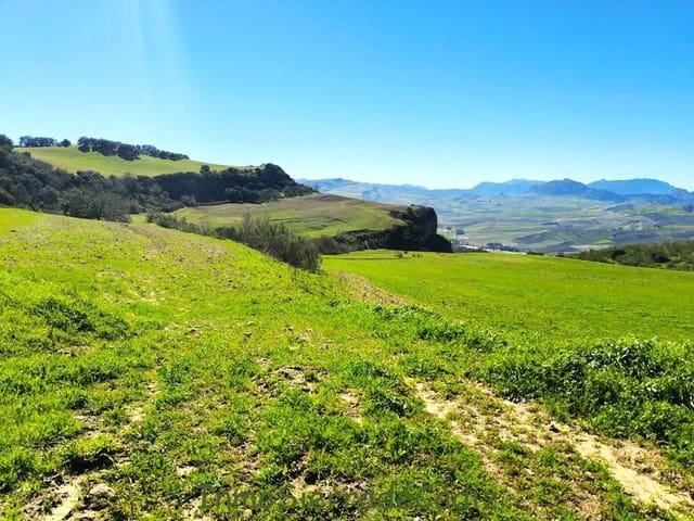 Finca/Casa Rural en venta en Torre Alháquime, Cádiz