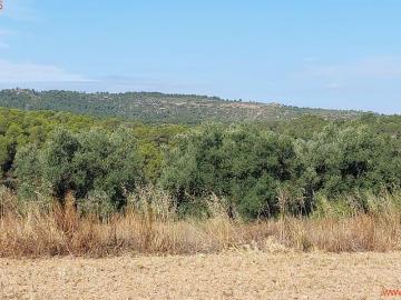 Finca/Casa Rural en venta en Torre del Compte, Teruel