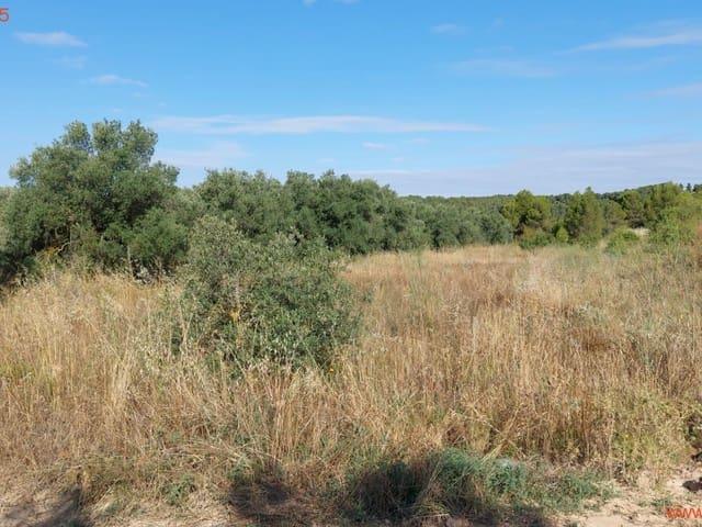 Finca/Casa Rural en venta en Torre del Compte, Teruel