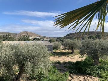 Finca/Casa Rural en venta en Torrellano, Alicante Costa Blanca
