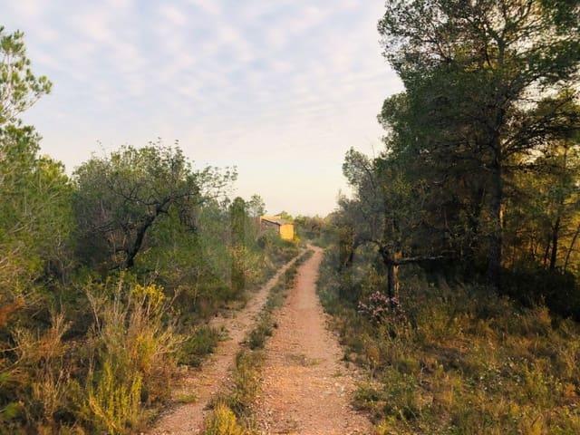Finca/Casa Rural en venta en Tortosa, Tarragona