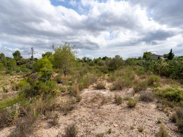 Finca/Casa Rural en venta en Tortosa, Tarragona