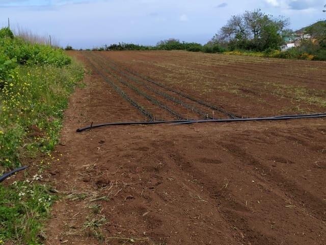 Finca/Casa Rural en venta en Tacoronte, Tenerife