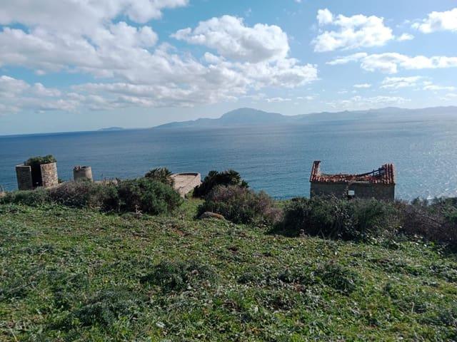 Finca/Casa Rural en venta en Tarifa, Cádiz Costa de la Luz