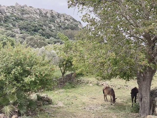 Finca/Casa Rural en venta en Tarifa, Cádiz Costa de la Luz