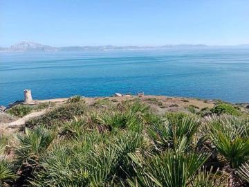 Finca/Casa Rural en venta en Tarifa, Cádiz Costa de la Luz
