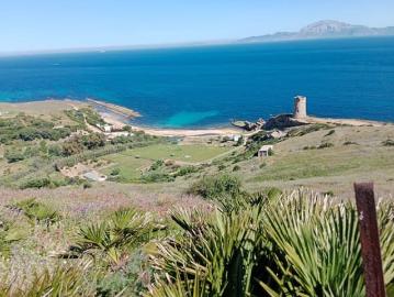 Finca/Casa Rural en venta en Tarifa, Cádiz Costa de la Luz