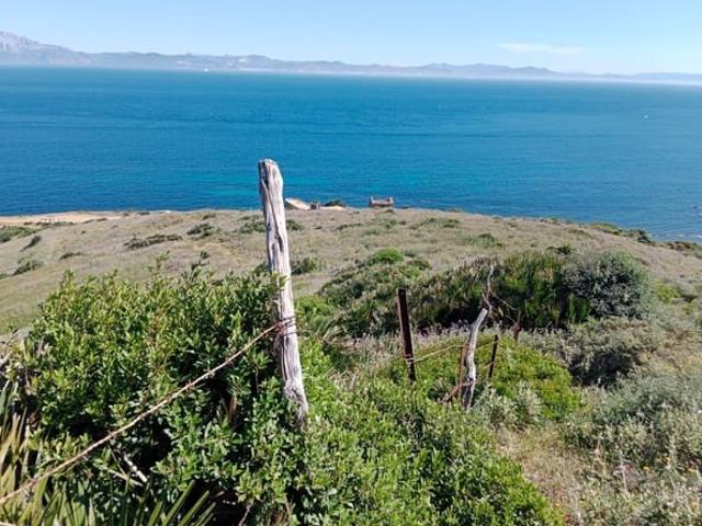 Finca/Casa Rural en venta en Tarifa, Cádiz Costa de la Luz
