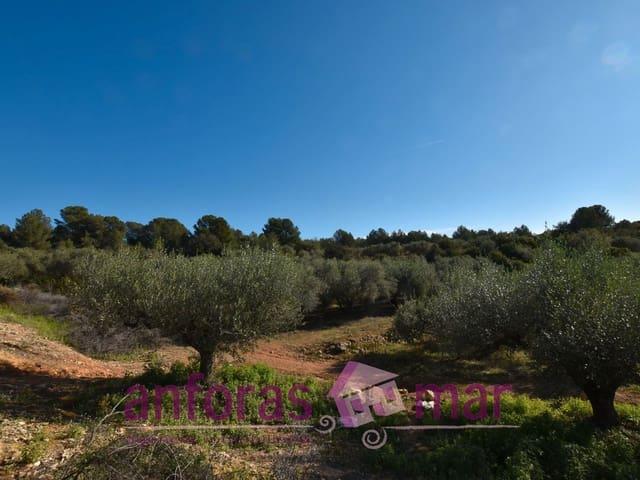 Finca/Casa Rural en venta en Tarragona, Tarragona Costa Dorada