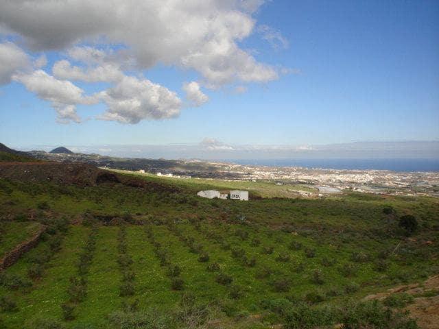Finca/Casa Rural en venta en Telde, Gran Canaria