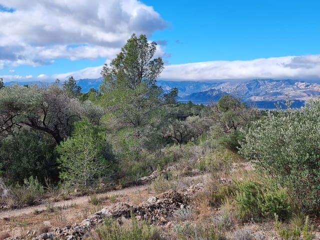 Finca/Casa Rural en venta en Tivenys, Tarragona