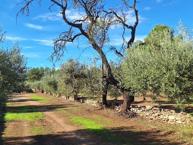 Finca/Casa Rural en venta en Tivissa, Tarragona