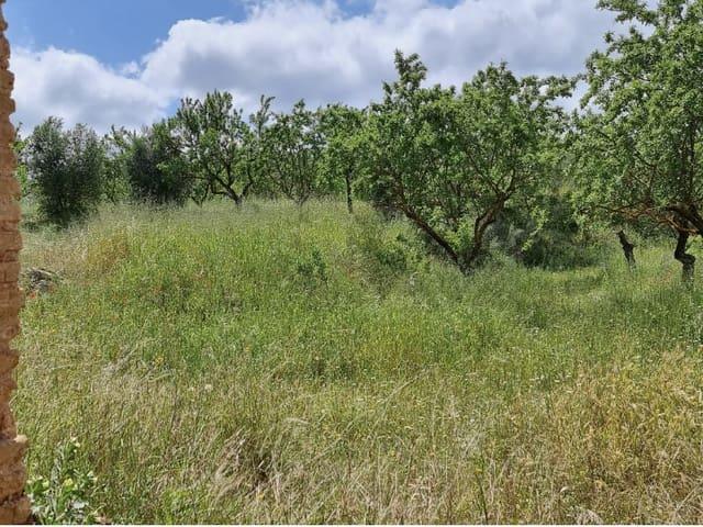 Finca/Casa Rural en venta en Tivissa, Tarragona