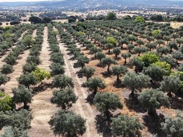 Finca/Casa Rural en venta en Trujillo, Cáceres