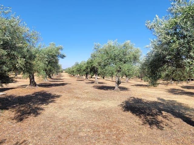 Finca/Casa Rural en venta en Trujillo, Cáceres