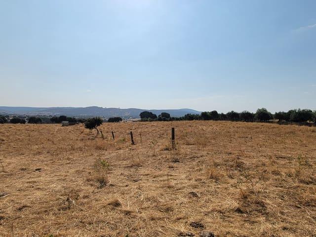 Finca/Casa Rural en venta en Trujillo, Cáceres