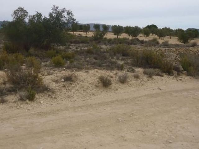 Finca/Casa Rural en venta en Ubeda, Alicante
