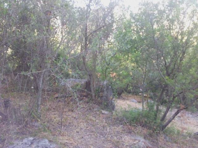 Finca/Casa Rural en venta en Ubrique, Cádiz