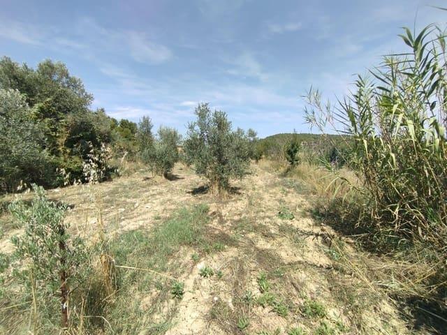 Finca/Casa Rural en venta en Valderrobres, Teruel