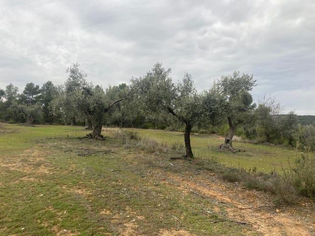 Finca/Casa Rural en venta en Valderrobres, Teruel