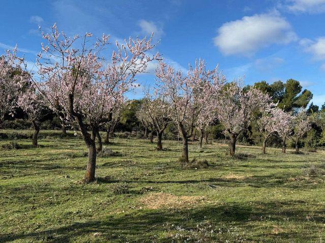 Finca/Casa Rural en venta en Valderrobres, Teruel