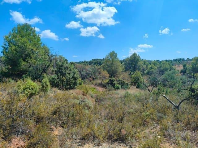 Finca/Casa Rural en venta en Valderrobres, Teruel