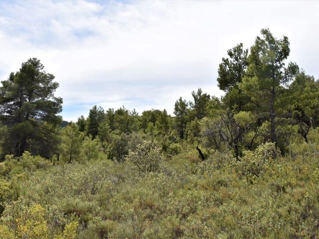Finca/Casa Rural en venta en Valderrobres, Teruel