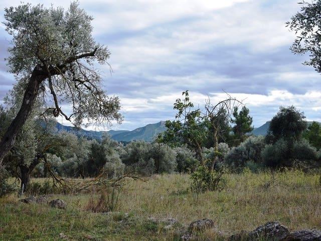 Finca/Casa Rural en venta en Valderrobres, Teruel