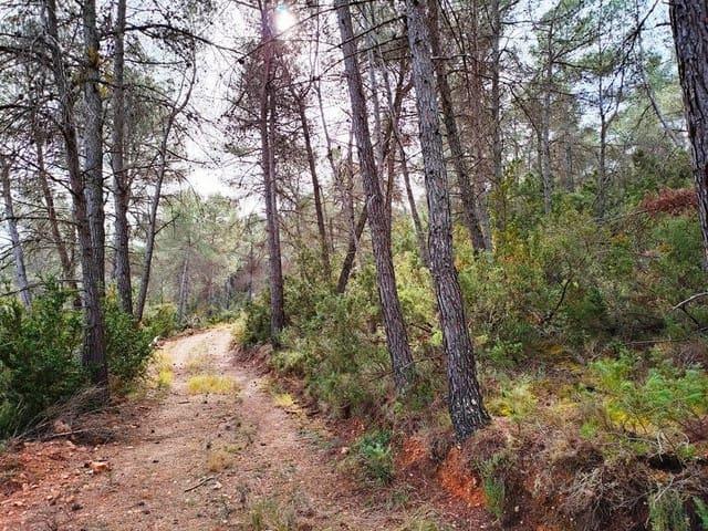 Finca/Casa Rural en venta en Valderrobres, Teruel