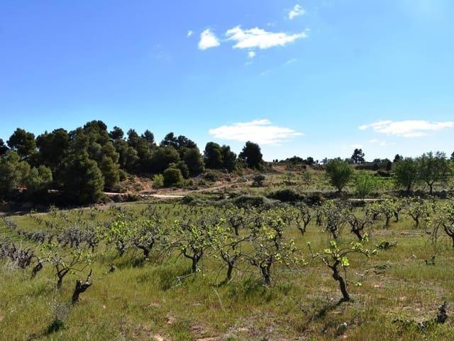 Finca/Casa Rural en venta en Valderrobres, Teruel